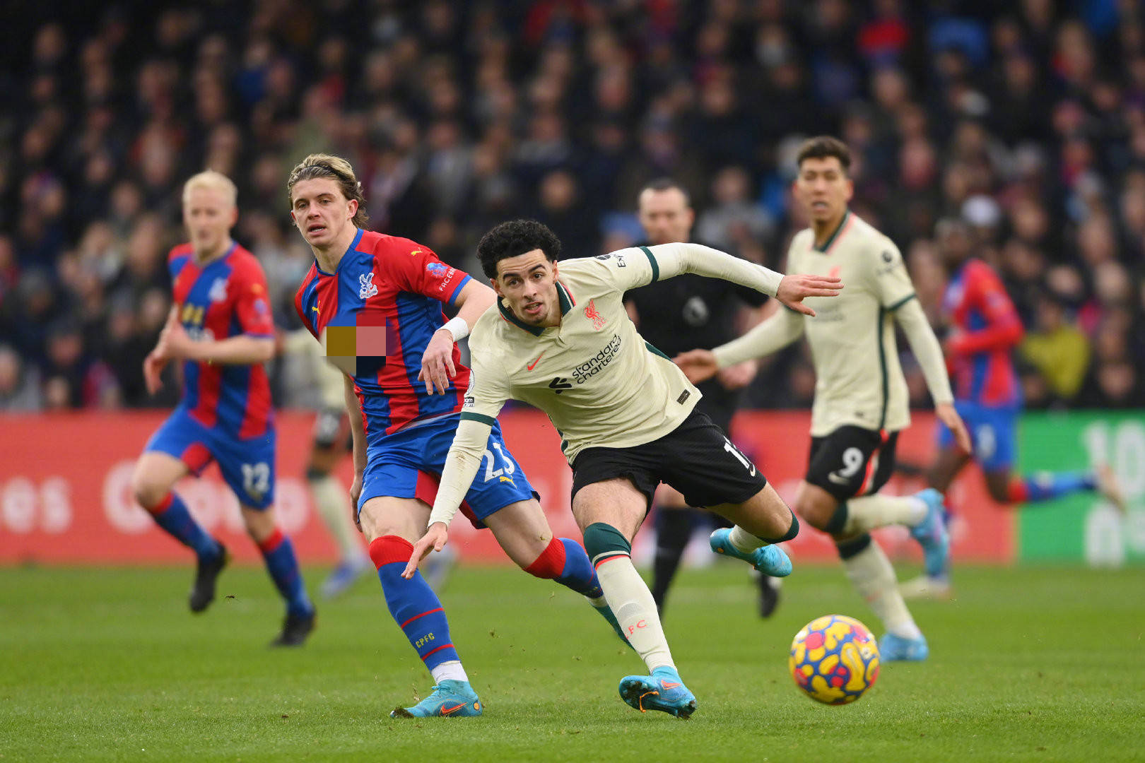 赛的又一经 赛的又一经