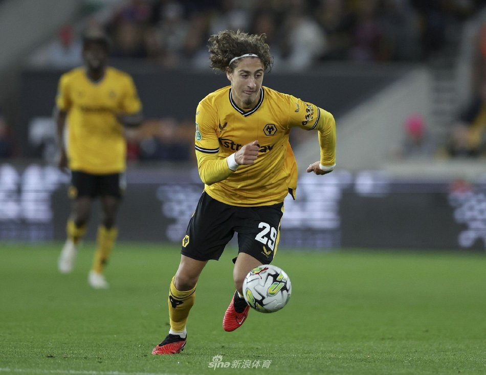 的情感纽带 的情感纽带